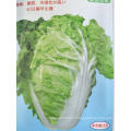 Humid and heat tolerant leaf  vegetable bakchoy pakchoy  Chinese cabbage seeds